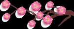 梅花桃花PNG 