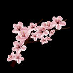 梅花桃花PNG