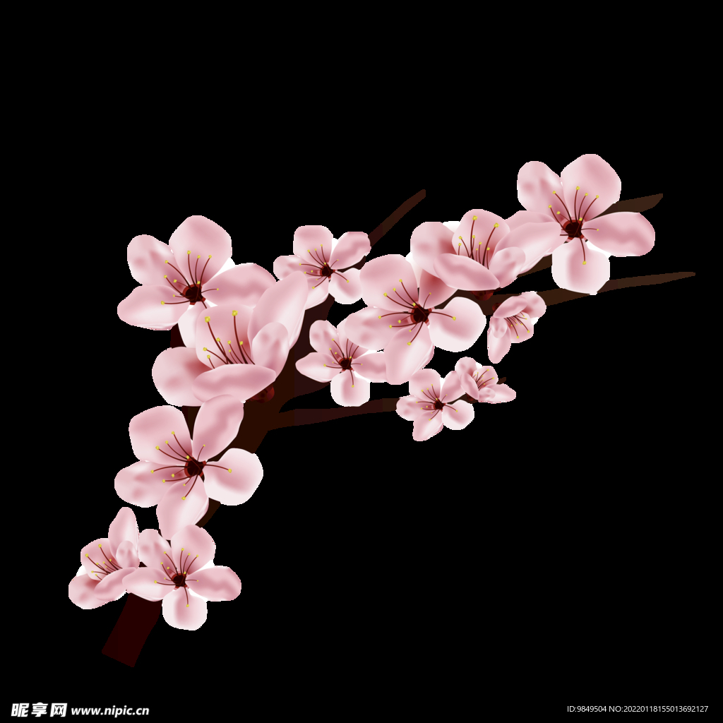 梅花桃花PNG