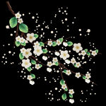 梅花桃花PNG 