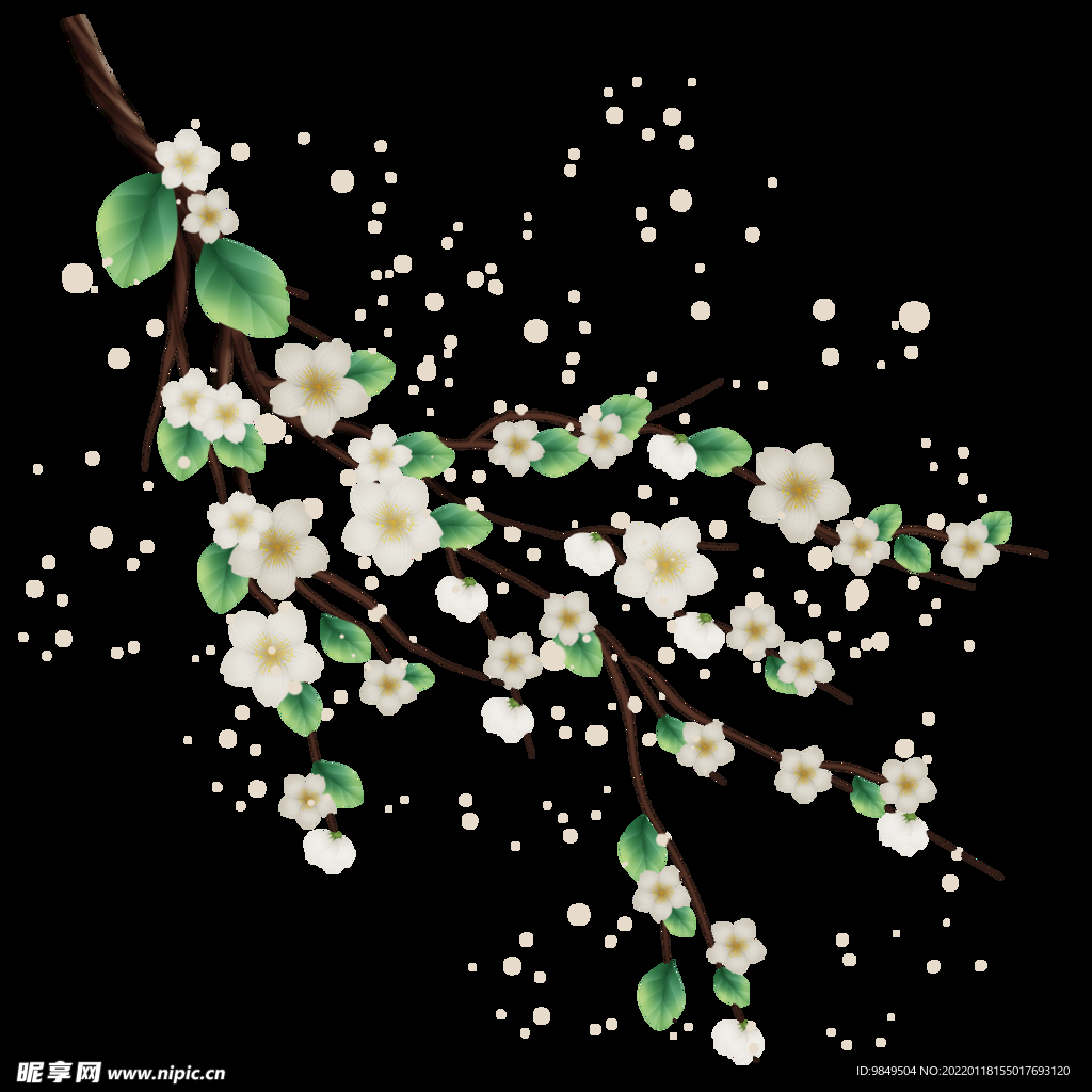 梅花桃花PNG 