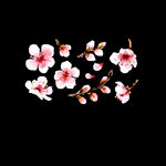 梅花桃花PNG 