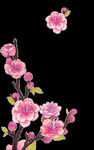 梅花桃花PNG