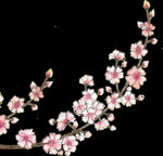 梅花桃花PNG 
