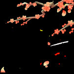 梅花桃花PNG 