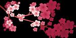 梅花桃花PNG