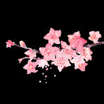 梅花桃花PNG