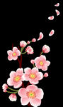 梅花桃花PNG 