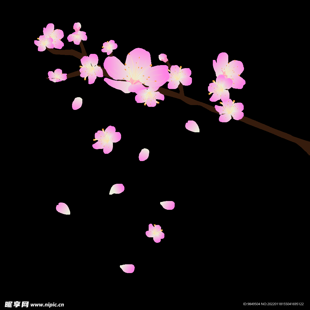 梅花桃花PNG