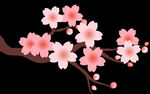梅花桃花PNG 