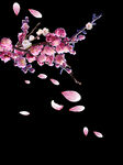 梅花桃花PNG 