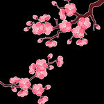 梅花桃花PNG