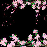 梅花桃花PNG