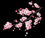 梅花桃花PNG