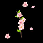 梅花桃花PNG 