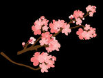 梅花桃花PNG 