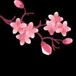 梅花桃花PNG 