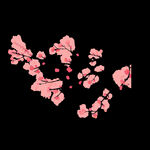 梅花桃花PNG 