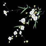 梅花桃花PNG 