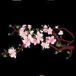 梅花桃花PNG 