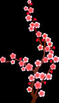 梅花桃花PNG