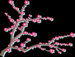 梅花桃花PNG