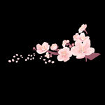 梅花桃花PNG