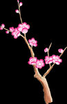 梅花桃花PNG