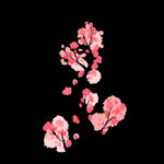 梅花桃花PNG