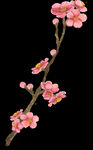 梅花桃花PNG 