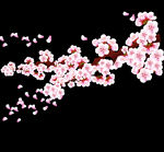 梅花桃花PNG