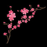 梅花桃花PNG
