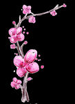 梅花桃花PNG 