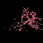 梅花桃花PNG 