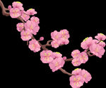 梅花桃花PNG 