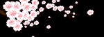 梅花桃花PNG 