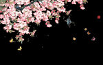 梅花桃花PNG 