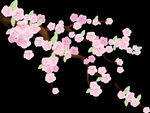 梅花桃花PNG
