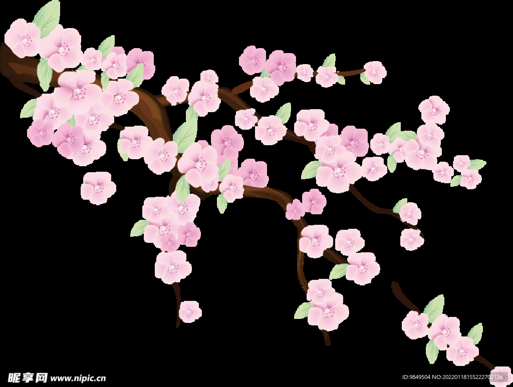 梅花桃花PNG