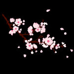梅花桃花PNG