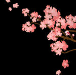 梅花桃花PNG 
