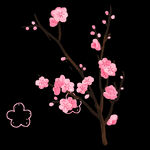 梅花桃花PNG