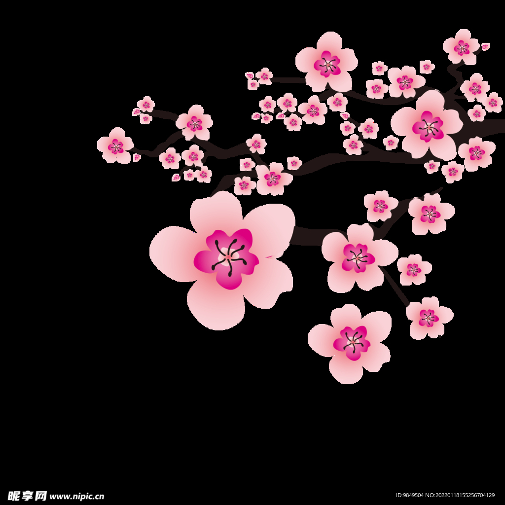 梅花桃花PNG