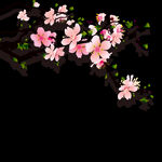 梅花桃花PNG 