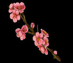 梅花桃花PNG 
