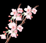 梅花桃花PNG 