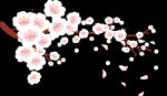 梅花桃花PNG 