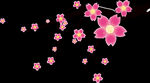 梅花桃花PNG