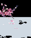 梅花桃花PNG 
