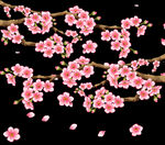 梅花桃花PNG 